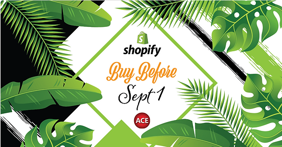 Shopify buy before Sep 1